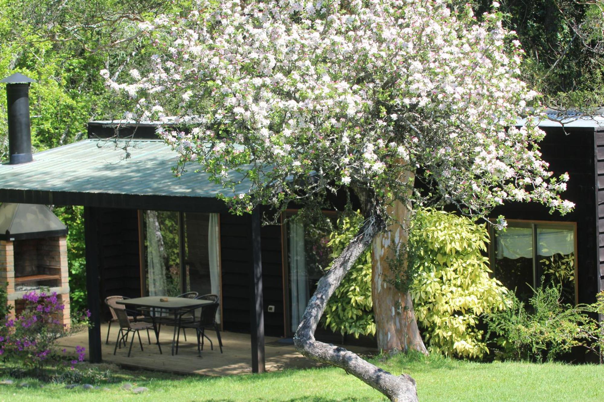 Cabanas Am Berg Pucón Exterior foto