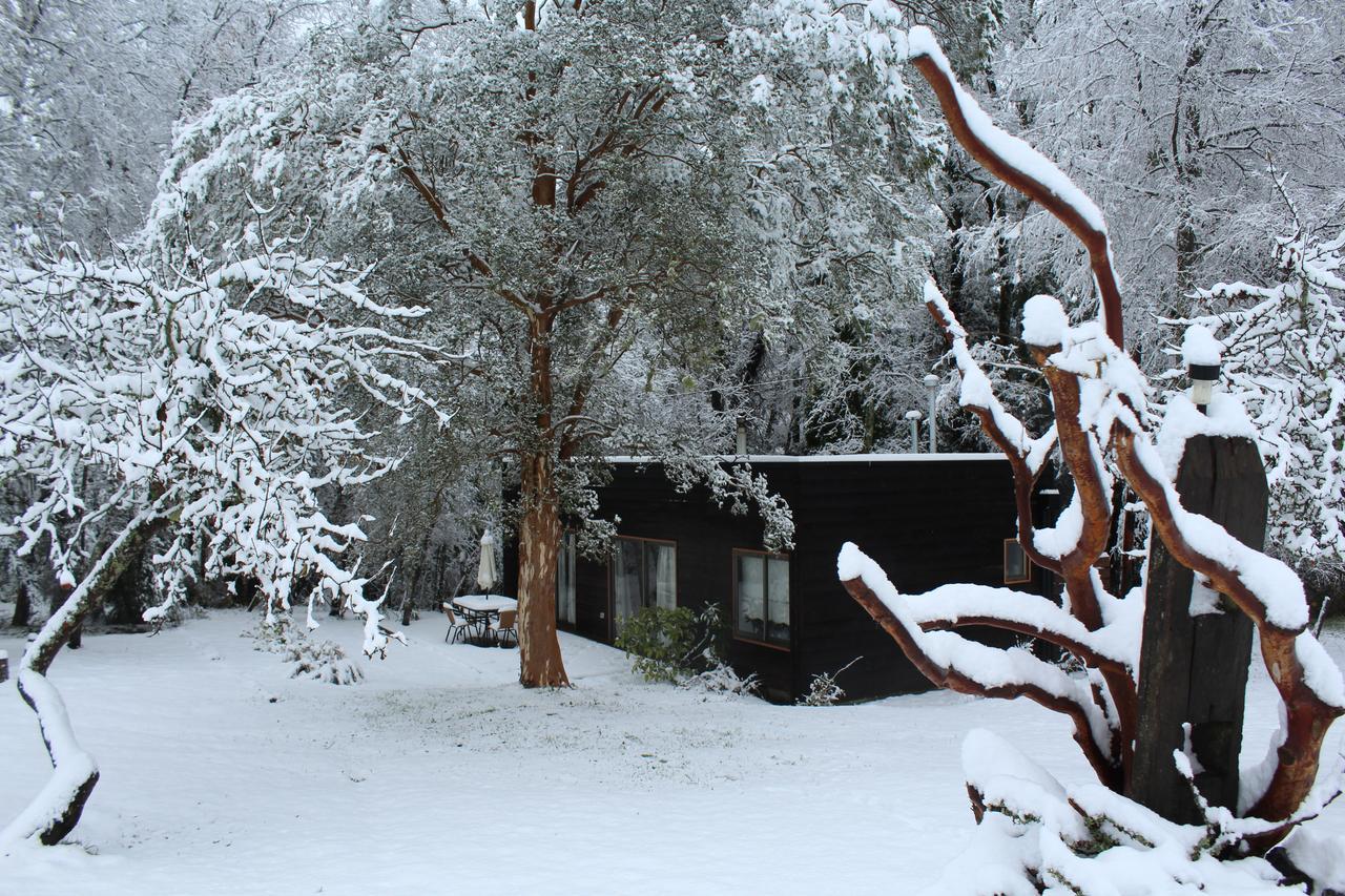 Cabanas Am Berg Pucón Exterior foto